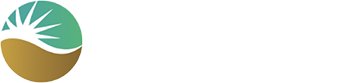 Cell Surgical Network